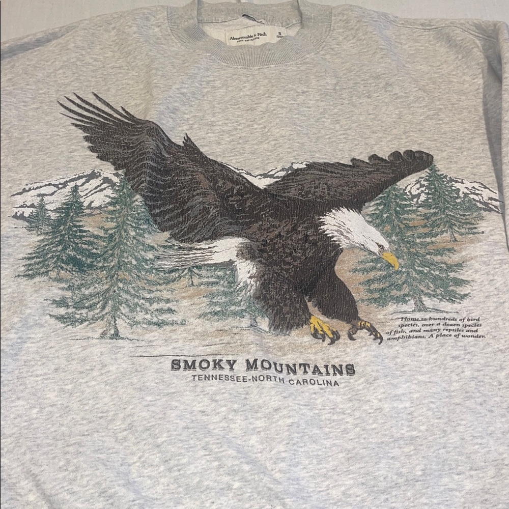 T0102107 A&F Smoky Mountains Tennessee North Carolina sweatshirt Oversized SZ S - Picture 2 of 6